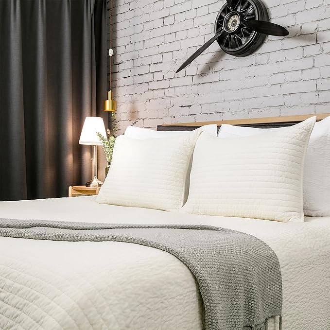 ELEGANT LIFE HOME Velvet Quilt Queen Reversible Royal Cotton Velvet Pic-Stitch Bedding Quilt - Queen - 88''x 92'', Ivory