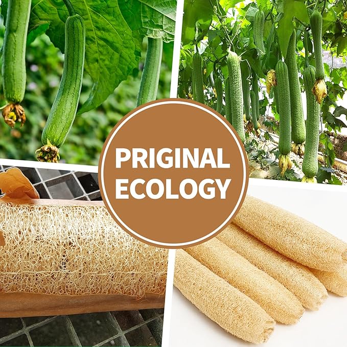 Natural Shower Loofah Sponge Exfoliating Body Scrubber，Natural Organic Beauty Exfoliating Loofah for Men and Women, Suitable for Cleansing Face Scrubber and Body Bath 2PCS (2 Large)