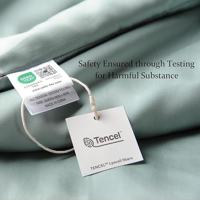 CUDDLE DREAMS Silk Filled Comforter for All Season, Detachable Tencel Duvet Cover for Easy Care, Naturally Breathable (Celadon, Queen)
