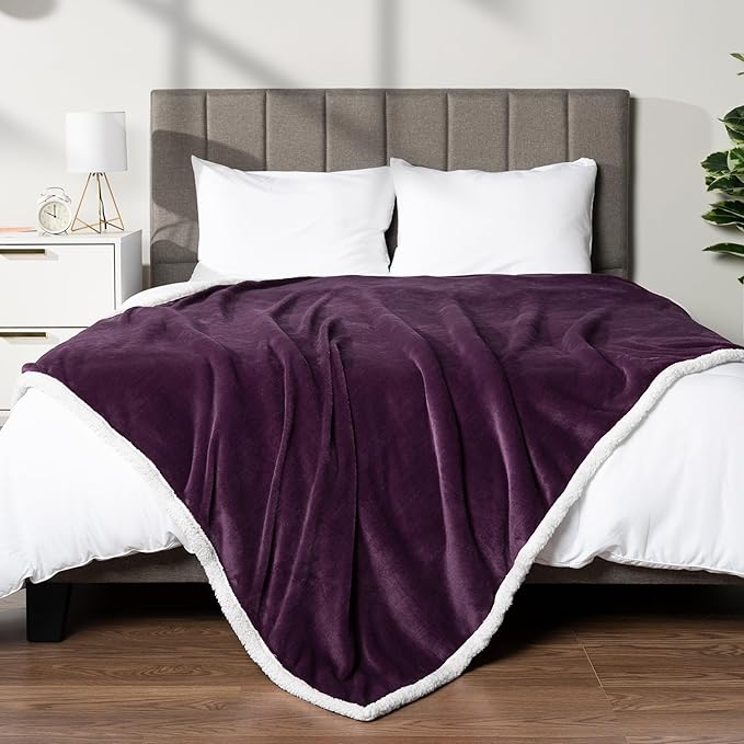 PAVILIA Sherpa Fleece Throw Blanket for Couch, Twin Size, Purple, Plush Soft Fuzzy Sofa Blanket, Cozy Reversible Winter Throw for Women Men, 60x80 Inches