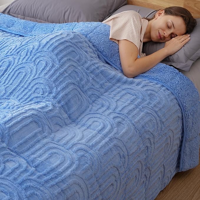 Sherpa Fleece Adult Weighted Blanket Great for Sleep, 20 lbs Dual Sided Soft Fuzzy Heavy Blankets for Couch Bed Sofa, Cozy Warm Fluffy Arched Jacquard Throw for Winter (Blue, 60" x 80", 20 Pounds)