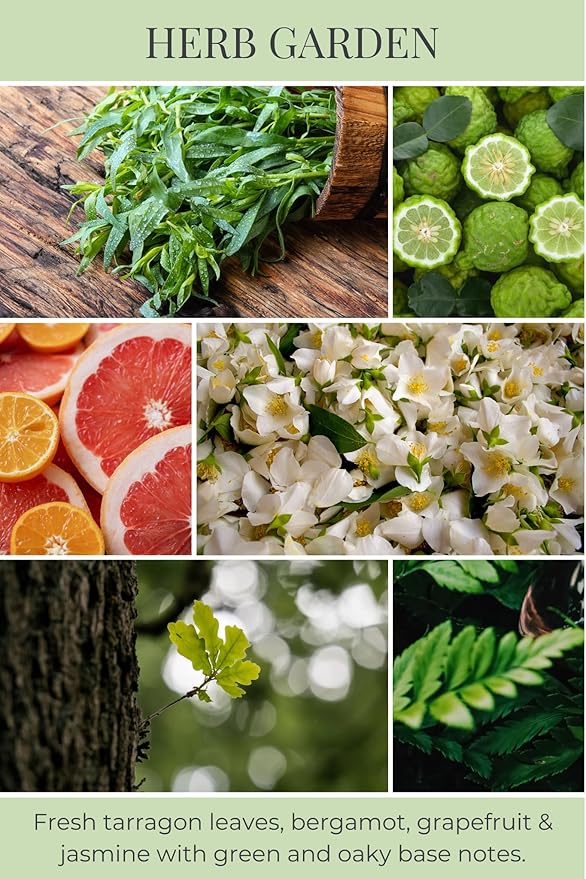 ECO CANDLE CO. Room & Linen Spray, Herb Garden, 8 oz. - Scents Of Tarragon, Bergamot, Grapefruit, & Jasmine - Recycled Aluminum Bottle, No Propellents, Pump Top, All Natural Ingredients