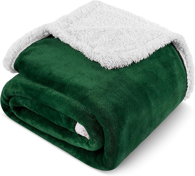 PAVILIA Sherpa Fleece Throw Blanket for Couch, Twin Size, Emerald Green, Plush Soft Fuzzy Sofa Blanket, Cozy Reversible Winter Throw for Women Men, 60x80 Inches