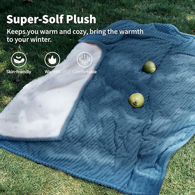 Heated Blanket Electric Throw 50”X60”-Heating Blanket with 5 Heat Settings-3 Hours Auto Off,ETL Certified,Machine Washable (Blue)