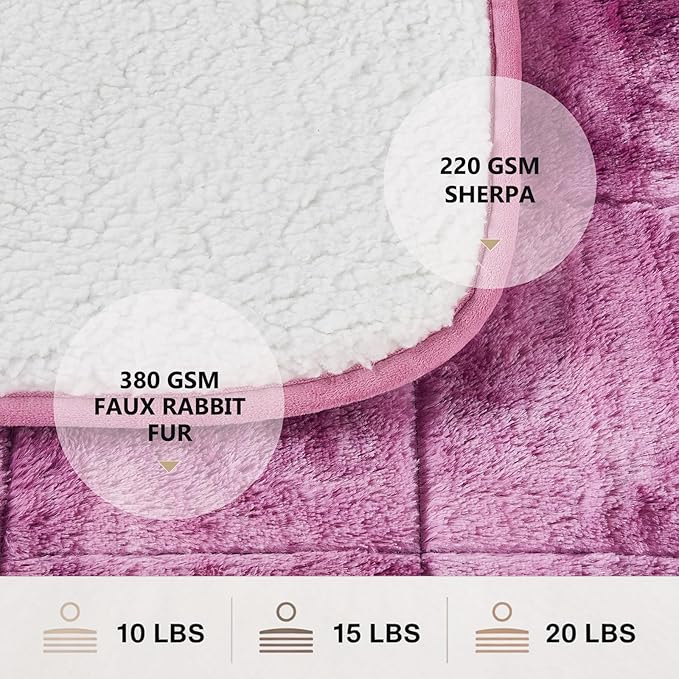 Homemate Heated Weighted Blanket for Adults - 50"x60" 10lbs Electric Throw Fast Heating Heavy Blanket 1/2/4/6/8 Hour Auto Off 10 Heat Levels Over-Heat Protection Luxury Faux Fur Sherpa