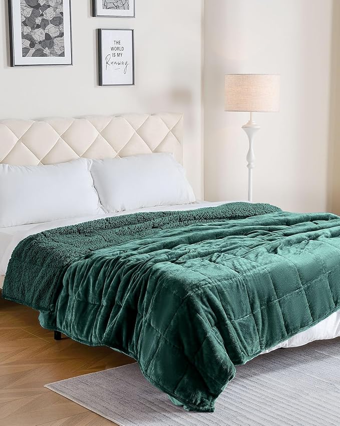 Uttermara Weighted Blanket for Adults, Queen Size Heavy Blanket with Reversible Soft Shiny Velour Fleece and Cozy Warm Sherpa for Couch Bed, Calming and Relaxing, 60 x 80 inches 15 lbs, Green