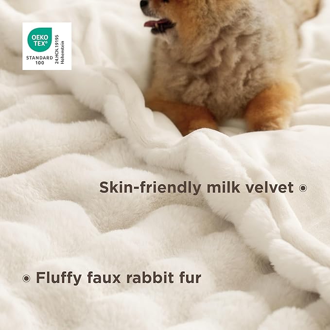 Bedsure GentleSoft Fluffy Faux Fur Blanket Twin Size, Fuzzy Soft Bubble Blanket for Couch, Faux Fur Decor for Home Bedroom Living Room, Thick Furry Cozy Gifts for Women, Cream, 60x80 Inch