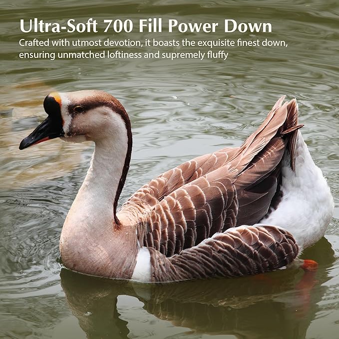 Pacific Coast Bed Pillow, Hotel Collection Down Pillow for Sleeping with Organic Cotton Shell, Suit for Stomach and Back Sleepers, 700 Fill Power, Oeko Certified, Standard Size