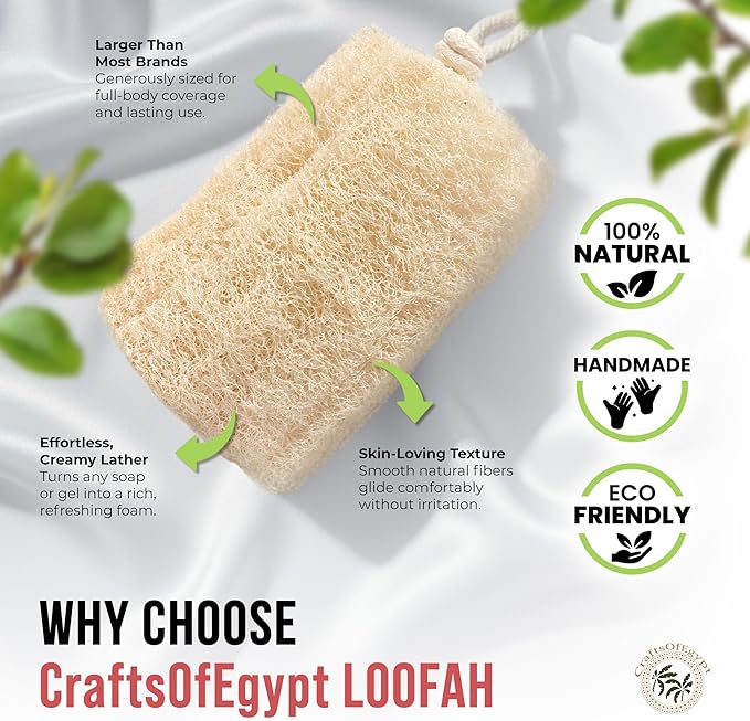 CraftsOfEgypt Natural Loofah Sponge – Egyptian Luffa Body Scrubber Pack of 1 for Men & Women, Natural Bath & Shower Loofah Exfoliator, All Natural Loofah Sponges for Face Back & Body, 6" x 6"
