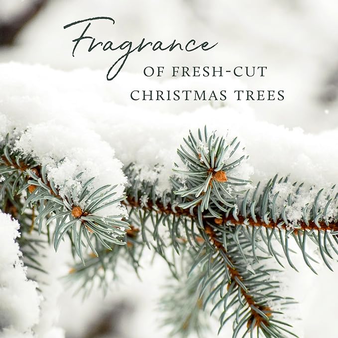 Thymes Frasier Fir Flocked Jar Candles – Holiday Scented Candles for Home with Notes of Crisp Siberian Fir, Cedarwood & Sandalwood – Luxury Home Decor Gifts for Women & Men (Votive, 2 oz)