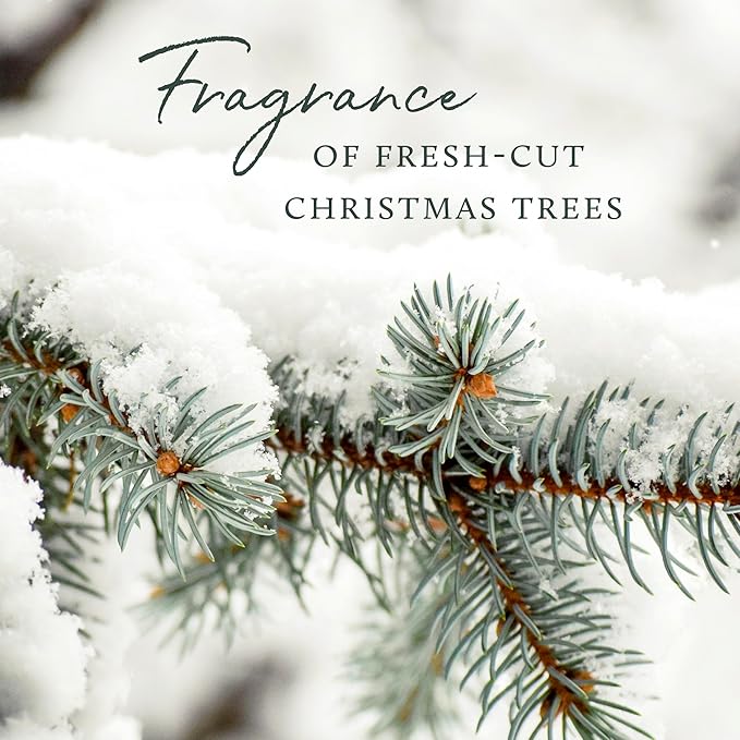 Thymes Frasier Fir Hand Cream, Travel Tin Candle Jar and Bar Soap Gift Set - Scented with Notes of Siberian Fir, Cedarwood, and Sandalwood - Luxury Home Fragrance Set - Hostess Gift for the Holidays