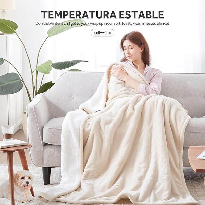 Heated Blanket Electric Blanket Queen Size Soft Flannel Sherpa, 6 Heat Levels Fast Heating, 2 to 10 Hours Auto-Off Detachable Controller Machine Washable, Beige 84"x90"