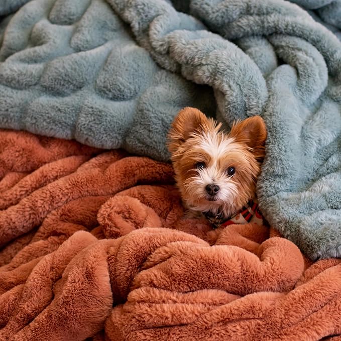 Minky Designs Copper Minky Blanket – Ultra Soft Faux Fur Throw Blanket for Couch, Bed & Home – Fluffy, Warm & Luxurious – Chic Collection (Medium, 50x60)