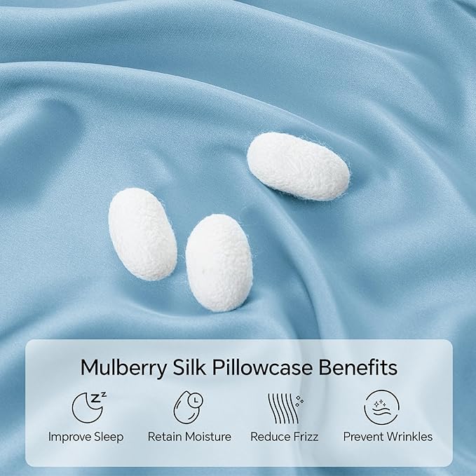 INFIIXSO Mulberry Silk Pillowcase for Hair and Skin, Silk Pillow Cases King Size with Hidden Zipper 20x40 Inches, Super Smooth and Soft Cooling Pillow Cases for Hot Sleepers(Light Blue, 1 Pack)
