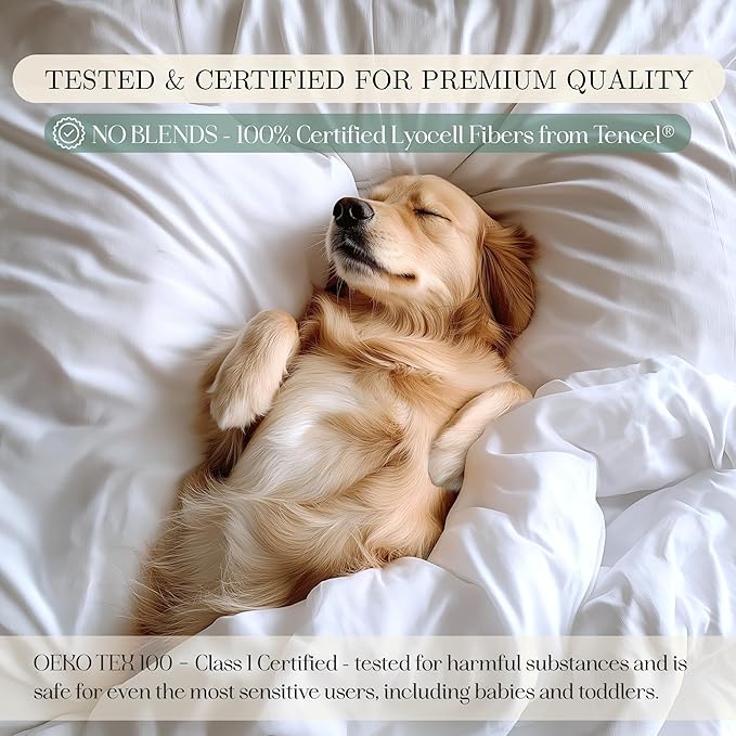 Eucalyptus Sheets - Infused with Silver for Anti-Odor, Softer Than Silk Fibers, More Cooling Than Cotton - Perfect for Hot Sleepers & Sensitive Skin - 100% Tencel Lyocell - Cali-King Sheet Set