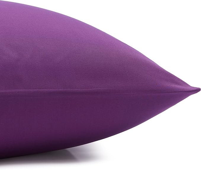 Amazon Basics Lightweight Super Soft Easy Care Microfiber 4 Piece Bed Sheets Set with 14-Inch Deep Pockets, Full, Plum, Solid