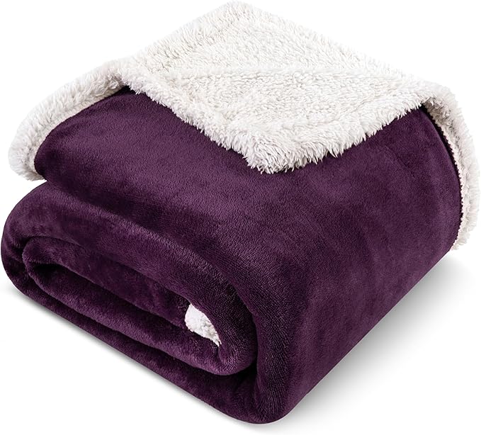 PAVILIA Sherpa Fleece Throw Blanket for Couch, Twin Size, Purple, Plush Soft Fuzzy Sofa Blanket, Cozy Reversible Winter Throw for Women Men, 60x80 Inches
