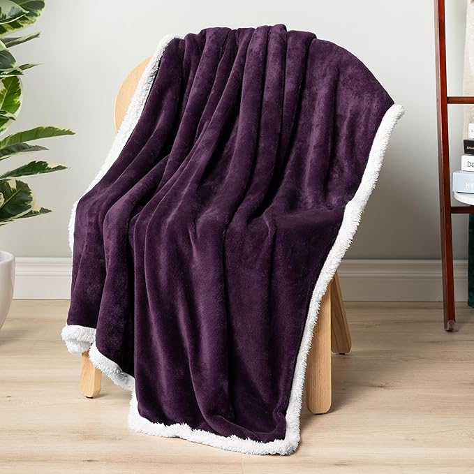 PAVILIA Sherpa Fleece Throw Blanket for Couch, Twin Size, Purple, Plush Soft Fuzzy Sofa Blanket, Cozy Reversible Winter Throw for Women Men, 60x80 Inches