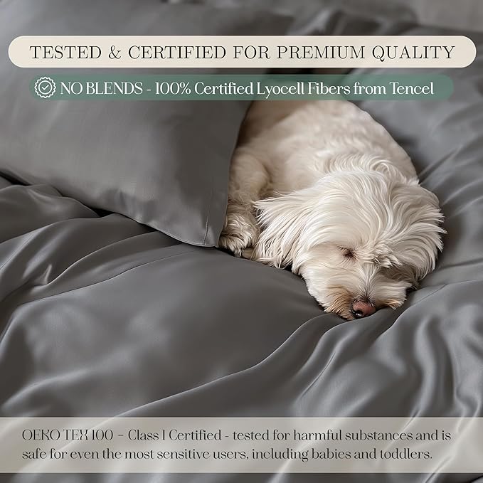 CASILVA Eucalyptus Sheets - Infused with Silver for Anti-Odor, Softer Than Silk Fibers, More Cooling Than Cotton - Perfect for Hot Sleepers & Sensitive Skin - 100% Tencel Lyocell - King Sheet Set