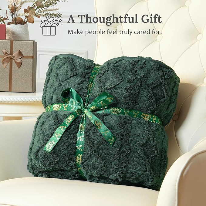 Sherpa Fleece Adult Weighted Blanket Great for Sleep, 15 lbs Dual Sided Soft Fuzzy Heavy Blankets for Couch Bed Sofa, Cozy Warm Fluffy Jacquard Throw for Winter (Green, 60" x 80", 15 Pounds)