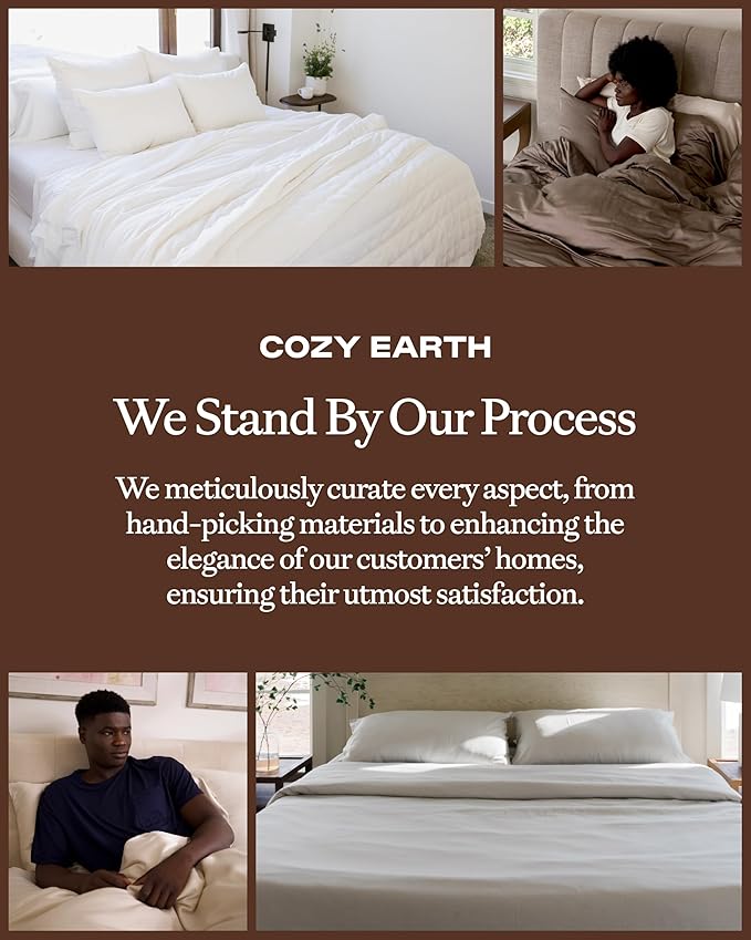 Cozy Earth Luxury Duvet Cover Queen - 100% Viscose from Bamboo - Ultra-Soft, Cooling & Lightweight Duvet Cover - Temperature-Regulating Bedding with Concealed Zip & Interior Snap Closures - Charcoal