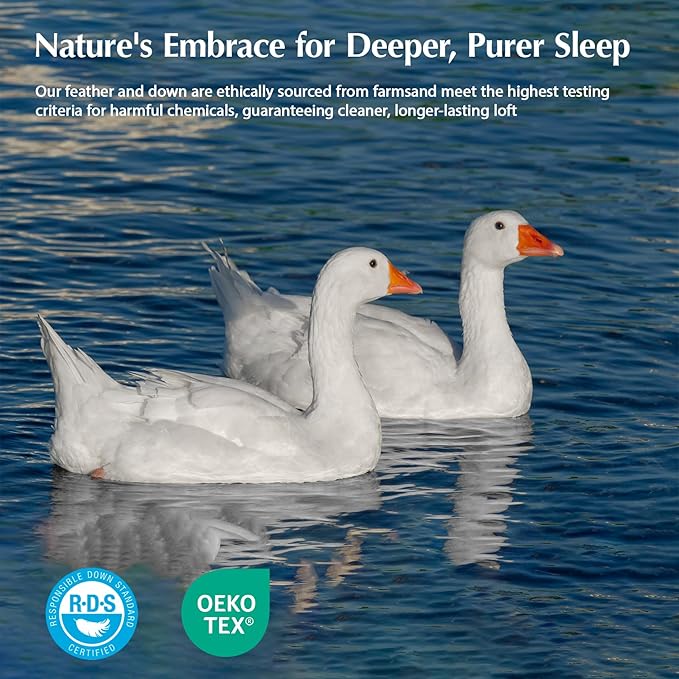 Pacific Coast Goose Feather Down Fiber Comforters Twin Size, Extra Fluffy White Duvet Insert, Ultra-Soft, Breathable, All Season Hotel Luxury Bedding Comforters, 8 Corner & Center Loops (68"x90")