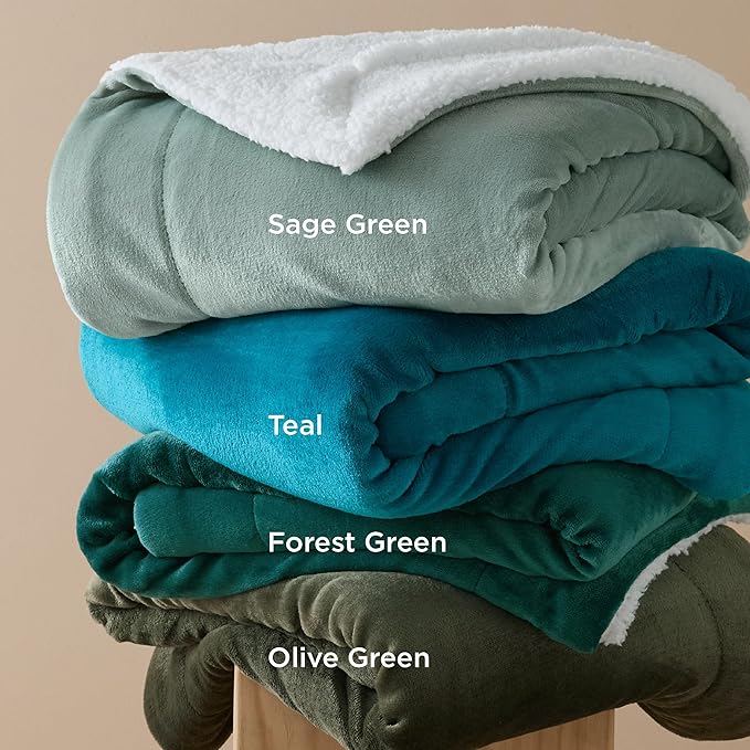 Bedsure GentleSoft Sherpa Fleece Throw Blanket Twin Size for Couch - Thick and Warm Throw for Women and Men, Soft Fuzzy Plush Twin Blanket for Winter, Teal, 60x80 Inches
