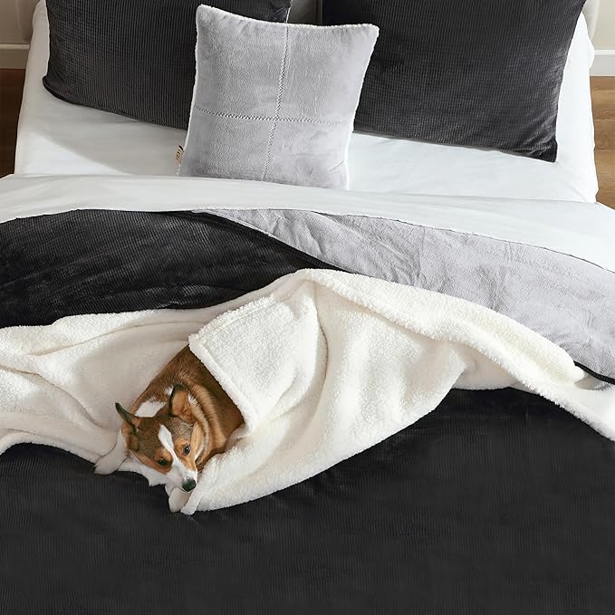 UGG Twin Comforter Set 4 Piece Bed in a Bag with Throw Blanket, Decorative Pillow Sham and Reversible Comforter Hypoallergenic Washable College Dorm Bedding, Twin XL, Grey (Remina)