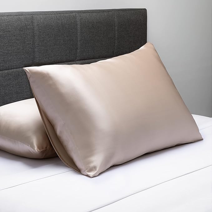 Fishers Finery 25mm 100% Pure Mulberry Silk Pillowcase (Taupe Queen)