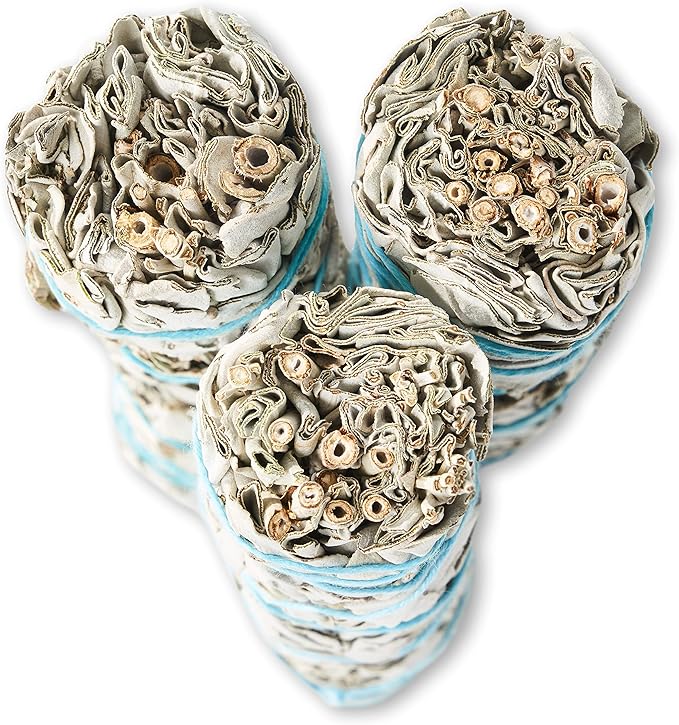 9-Inch White Sage Smudge Sticks ~ Sustainably Harvested ~ for Smudging & Cleansing ~ Instructions Included (3 Pack)